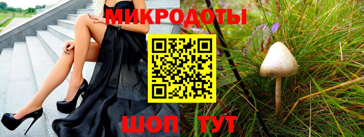 Псилоцибиновые грибы Psilocybine cubensis Кропоткин